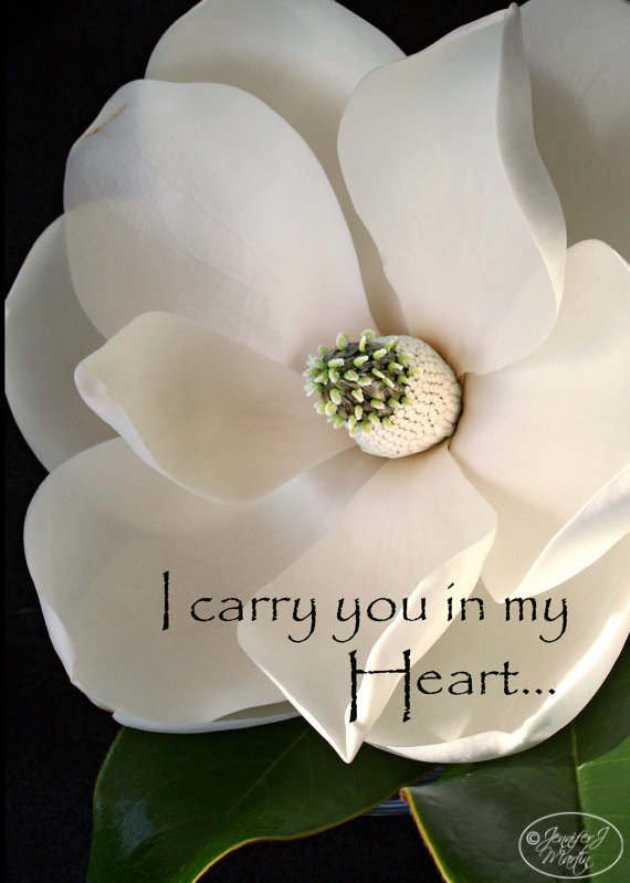 Rumi Quotes / On Wings of Angels / I Carry You in my Heart - 4 Card Set