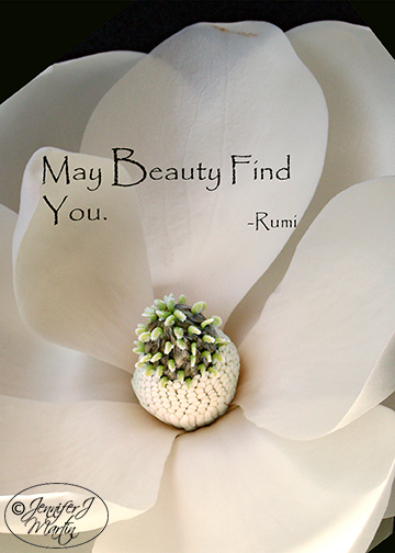 May Beauty Find You (Rumi Quote) - Magnolia Blossom - Print - Jennifer ...
