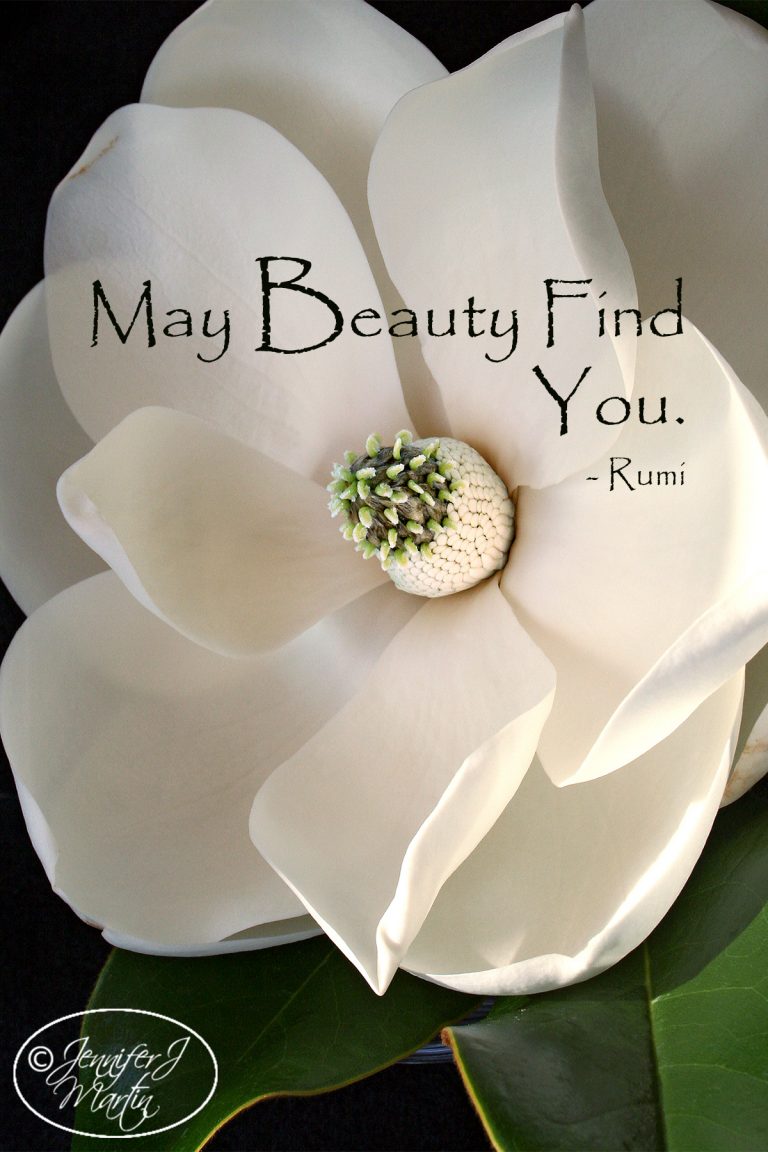 May Beauty Find You (Rumi Quote) Magnolia Blossom - Jennifer J. Martin