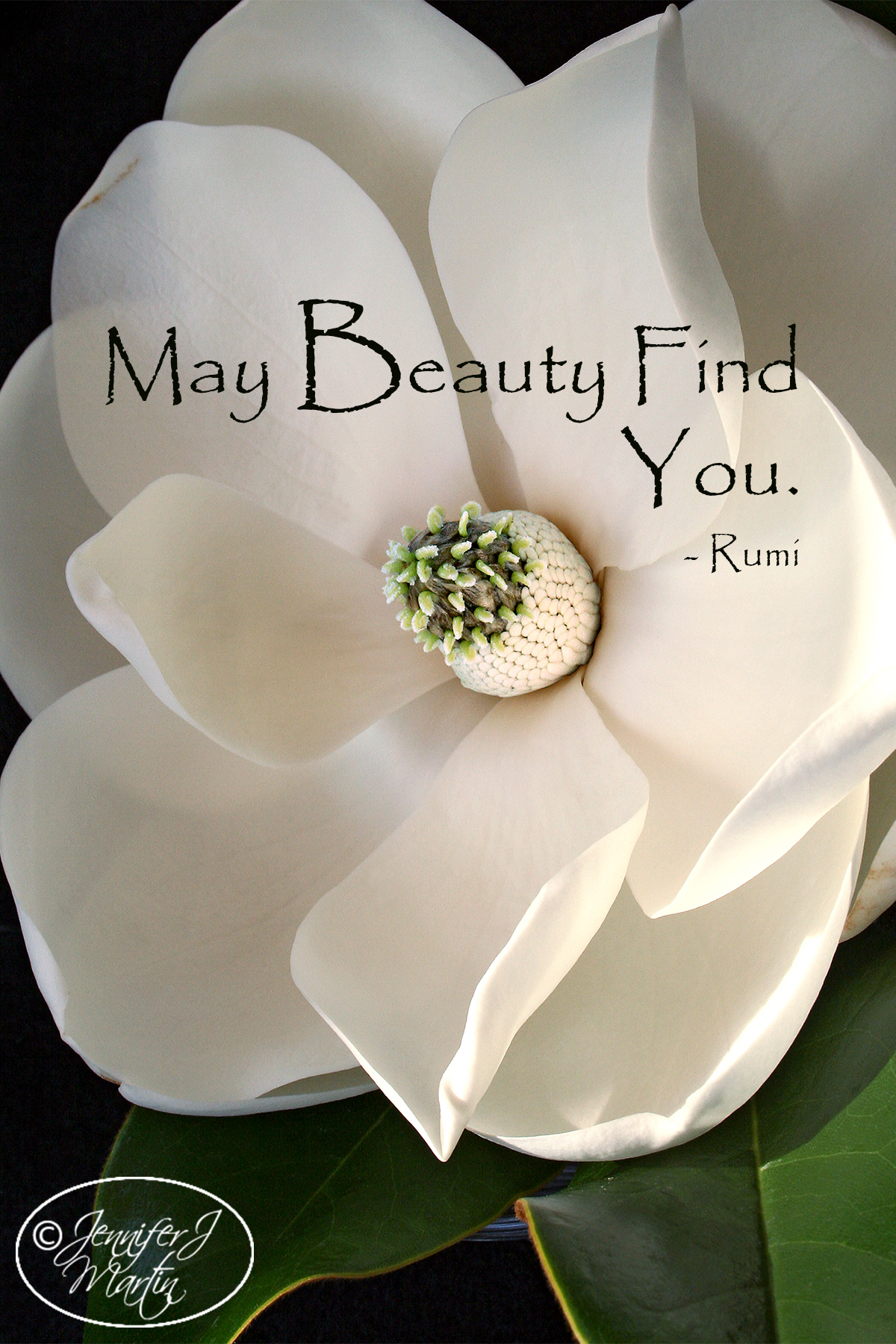 May Beauty Find You (Rumi) - Magnolia Blossom - Print - Jennifer J. Martin